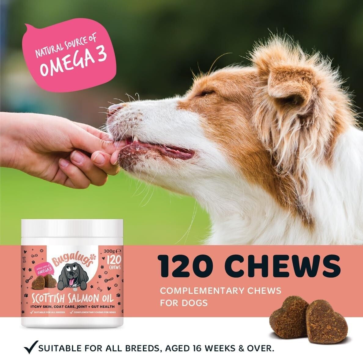 Bugalugs 100% Pure Salmon Oil for Dogs, Cats, and Pets - 500ml for Healthy Skin and Coat
